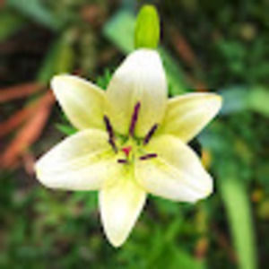 Meet your Posher, Amber